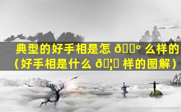 典型的好手相是怎 🐺 么样的（好手相是什么 🦍 样的图解）